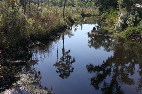Bayou, Louisiana
